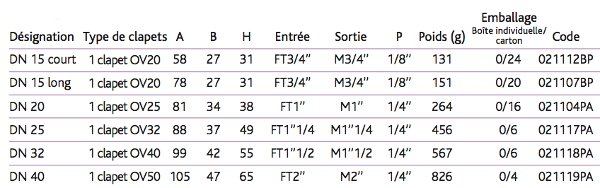 Modèles droits Avec bouchons purgeurs axiaux